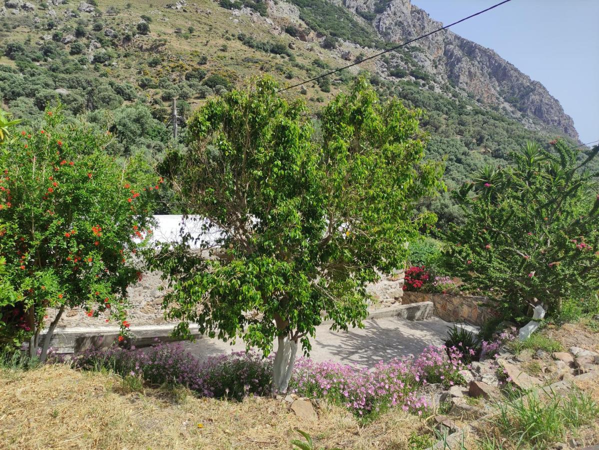 Olga'S Traditional Stone House, Palaiochora Kondokinigi Екстериор снимка